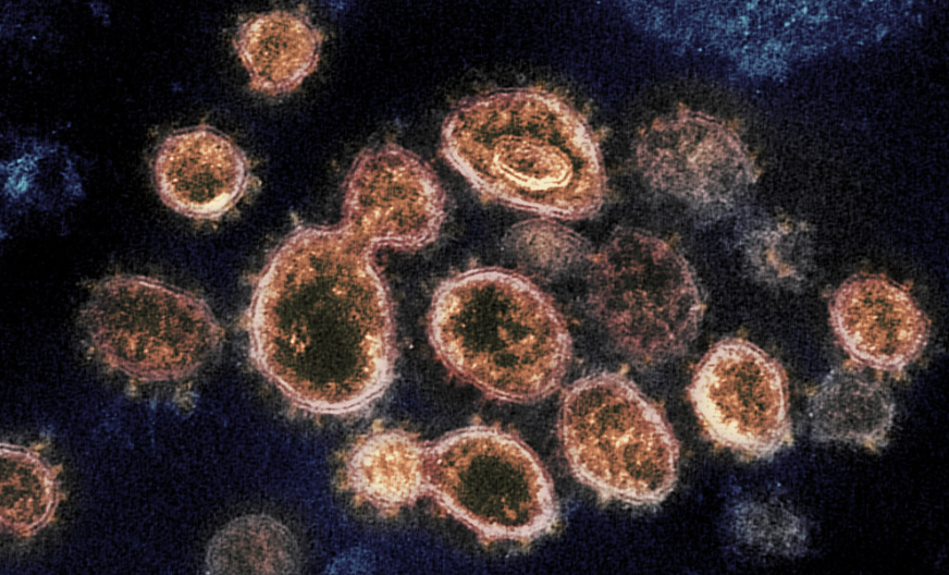 Which Countries Are Spending The Most On Coronavirus?