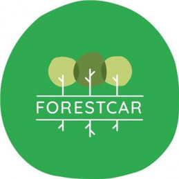 ForestCar
