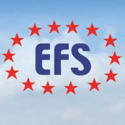 EFS Global Limited