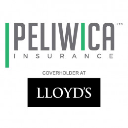 Peliwica Insurance