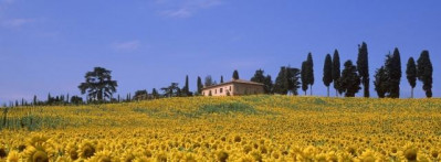 Vikare Tuscan Property Fund